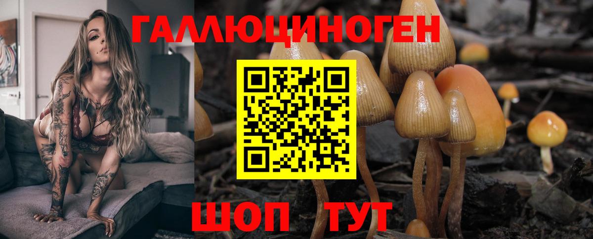 Галлюциногенные грибы прущие грибы  Вход с VPN  Псилоцибиновые грибы Cubensis  Северск 